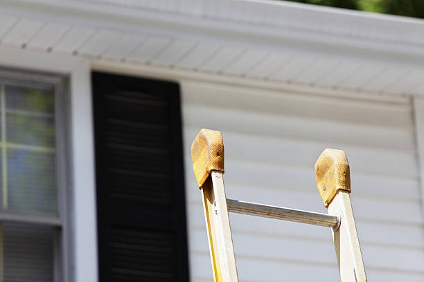 Best Carpet Removal and Disposal  in Middlesex, NC